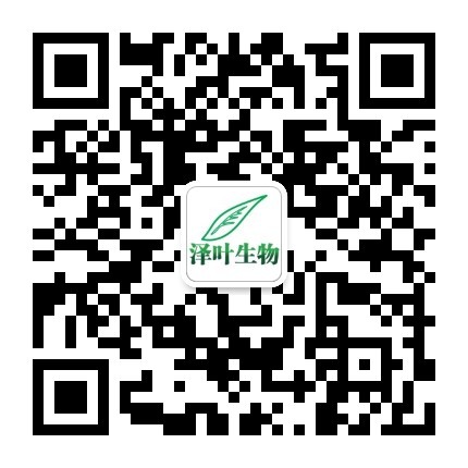 官方微信