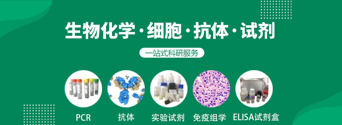 轮播图