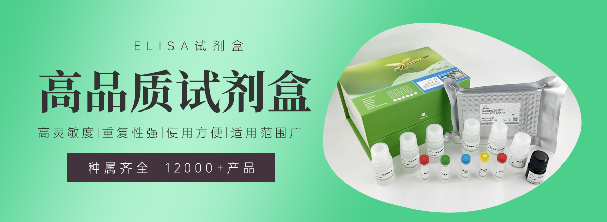 轮播图