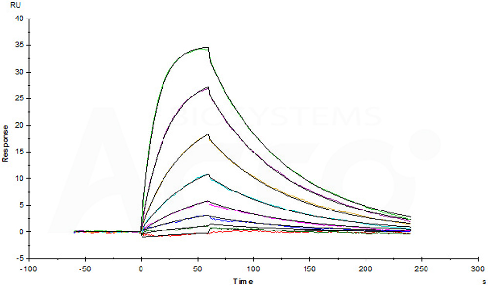 Biotinylated Human SPR