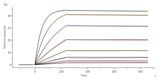 Biotinylated Human SPR
