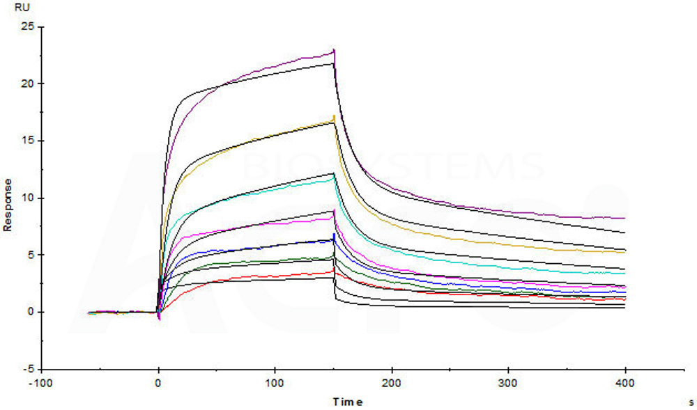 Biotinylated Human SPR