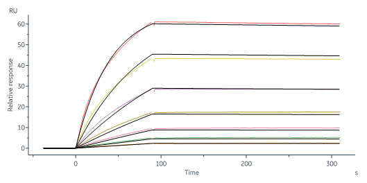 Biotinylated Human SPR