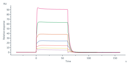 Biotinylated Human SPR