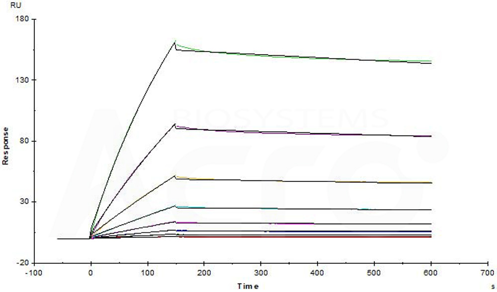 Biotinylated Human SPR