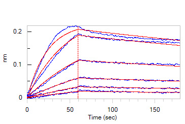 Biotinylated Human BLI