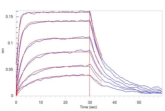 Biotinylated Human BLI