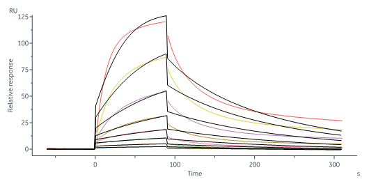 Biotinylated Human SPR