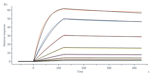 Biotinylated Human SPR