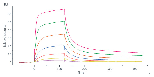 Biotinylated Human SPR