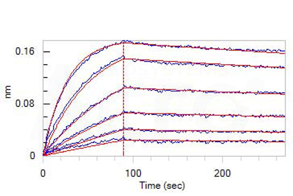 Biotinylated Human BLI