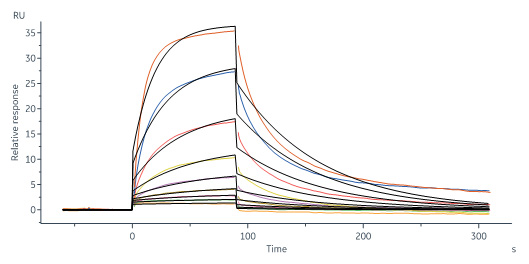 Biotinylated Human SPR