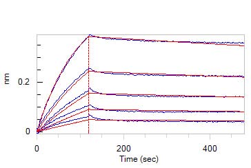 Biotinylated Human BLI