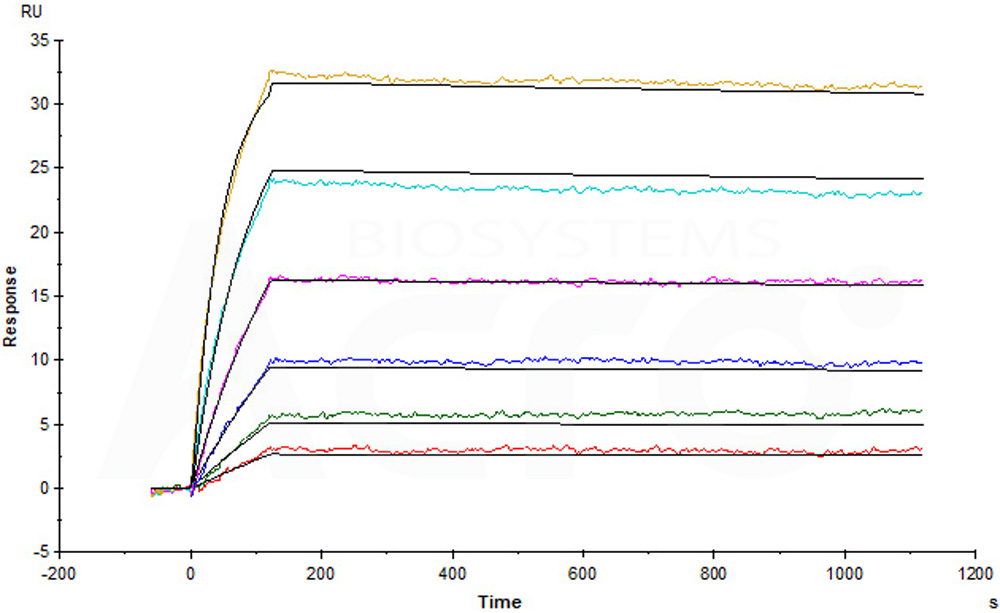 Biotinylated Human SPR