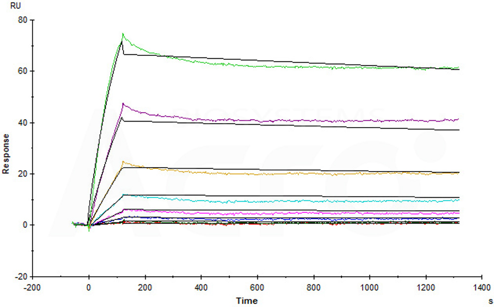 Biotinylated Human SPR