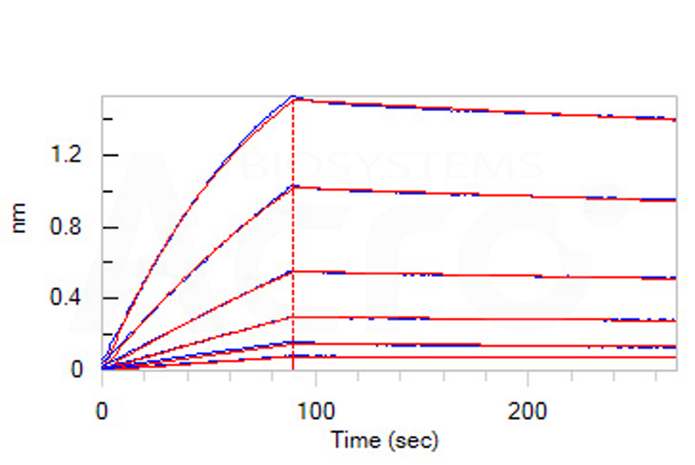 Biotinylated Human BLI