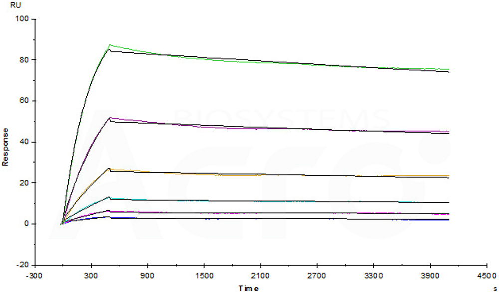 Biotinylated Human SPR
