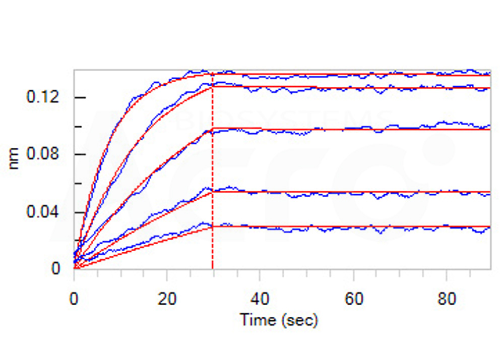 Biotinylated Human BLI