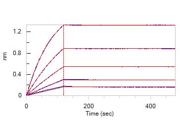 Biotinylated Human BLI