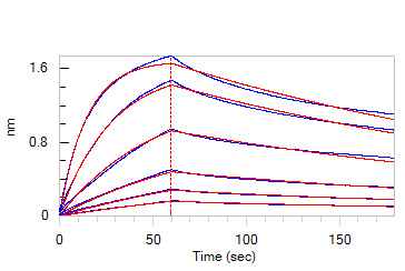 Biotinylated Human BLI