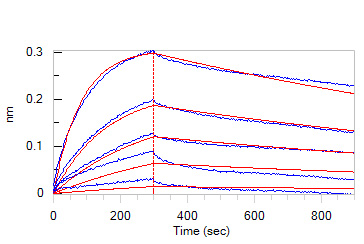 Biotinylated Human BLI