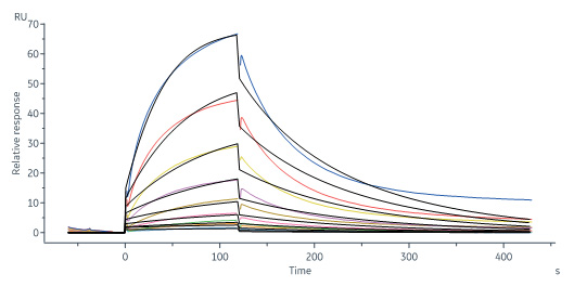 Biotinylated Human SPR