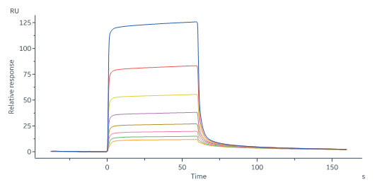 Biotinylated Human SPR