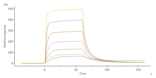 Biotinylated Human SPR