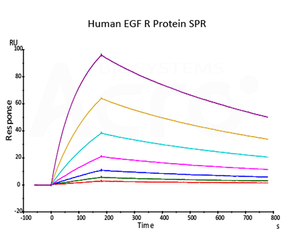 Biotinylated Human SPR