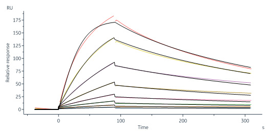 Biotinylated Human SPR