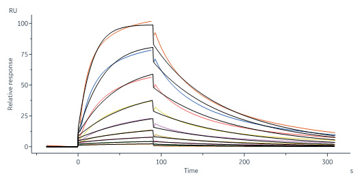 Biotinylated Human SPR