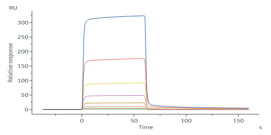 Biotinylated Human SPR