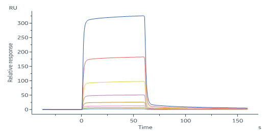 Biotinylated Human SPR