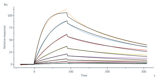 Biotinylated Human SPR