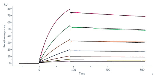 Biotinylated Human SPR