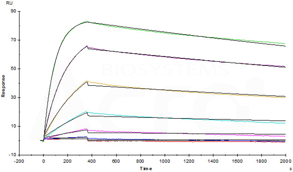 Biotinylated Human SPR