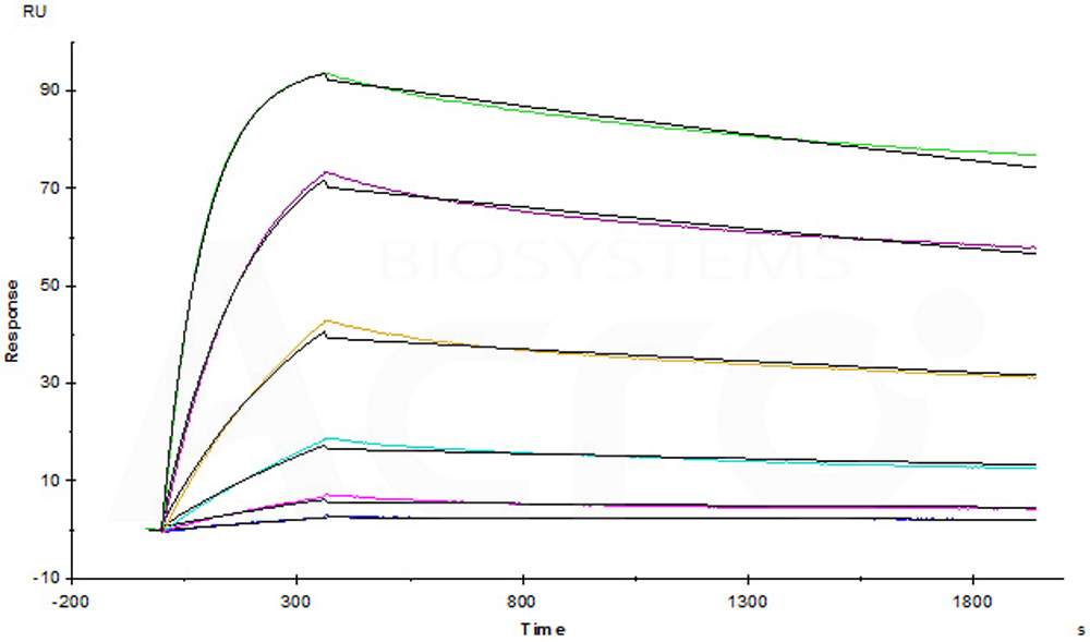 Biotinylated Human SPR