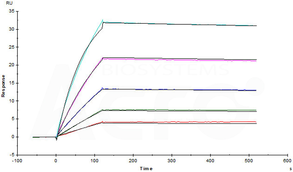 Biotinylated Human SPR