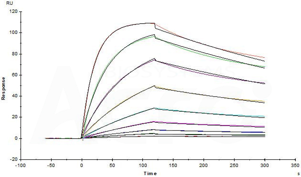 Biotinylated Human SPR