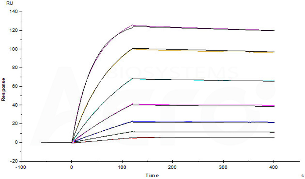 Biotinylated Human SPR