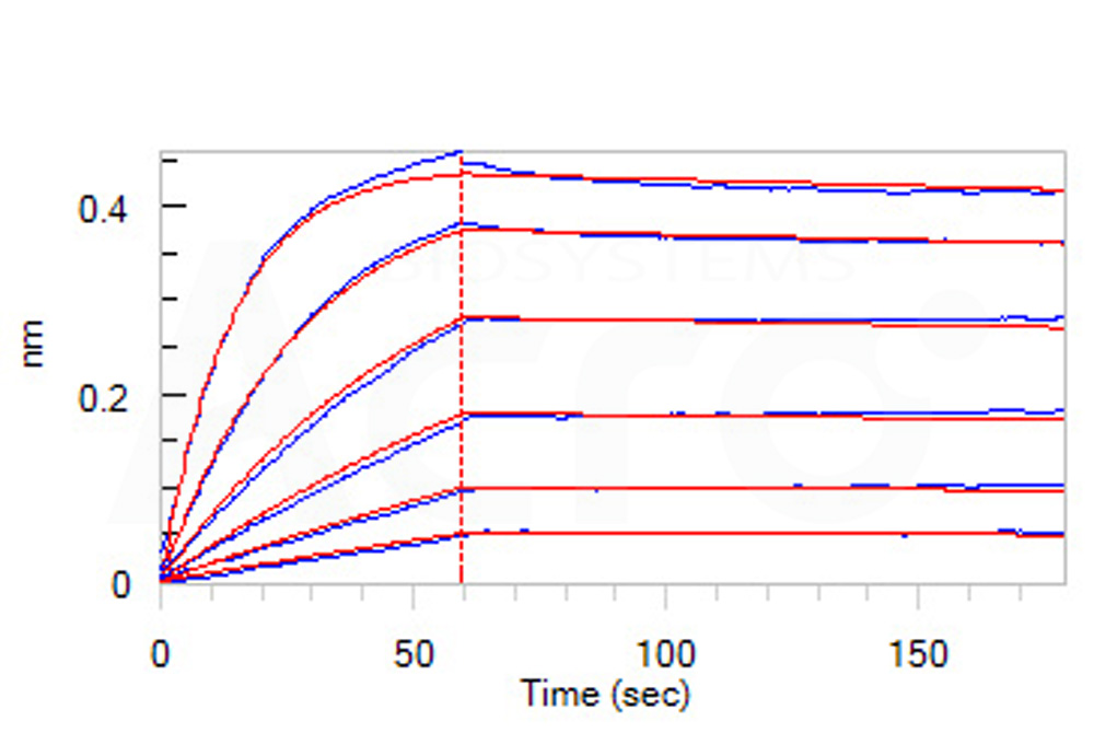 Biotinylated Human BLI