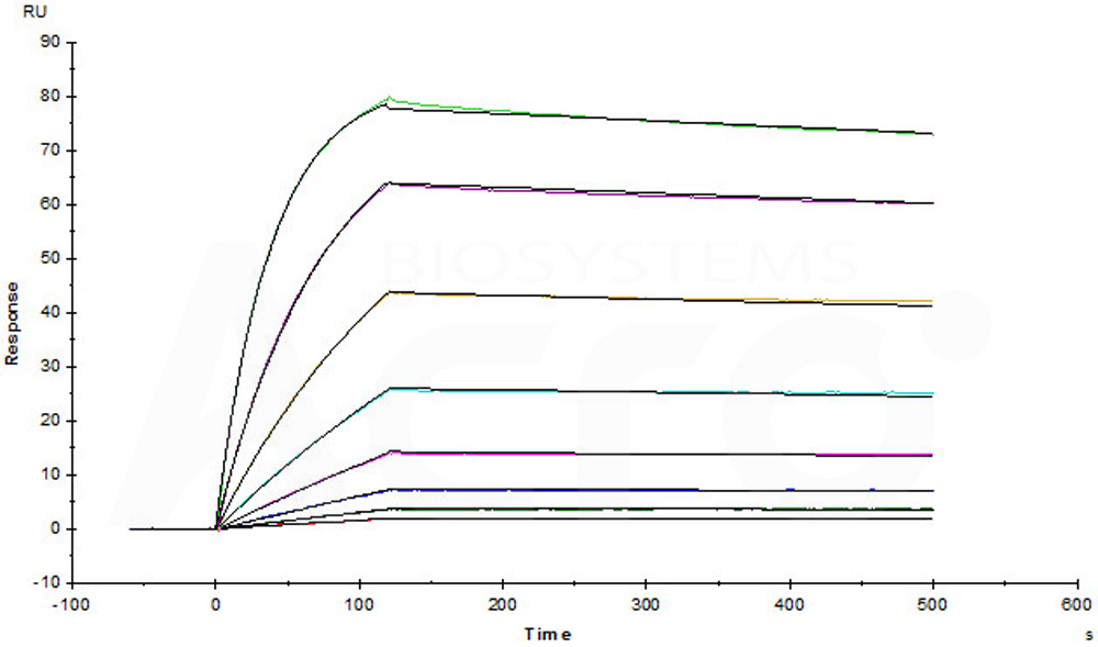 Biotinylated Human SPR