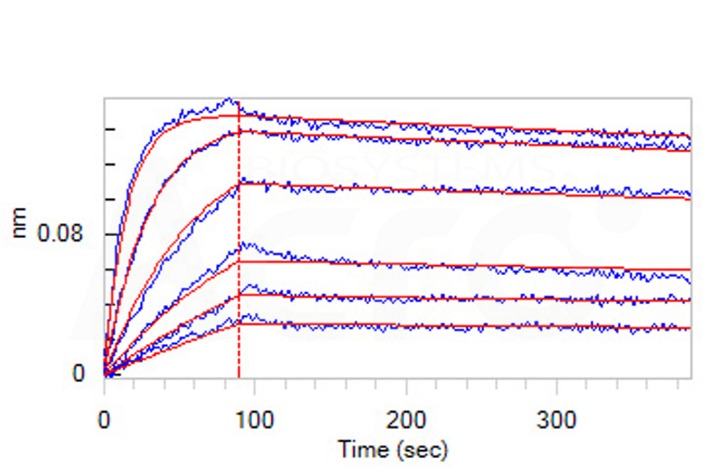 Biotinylated Human BLI