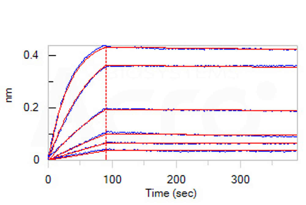 Biotinylated Human BLI