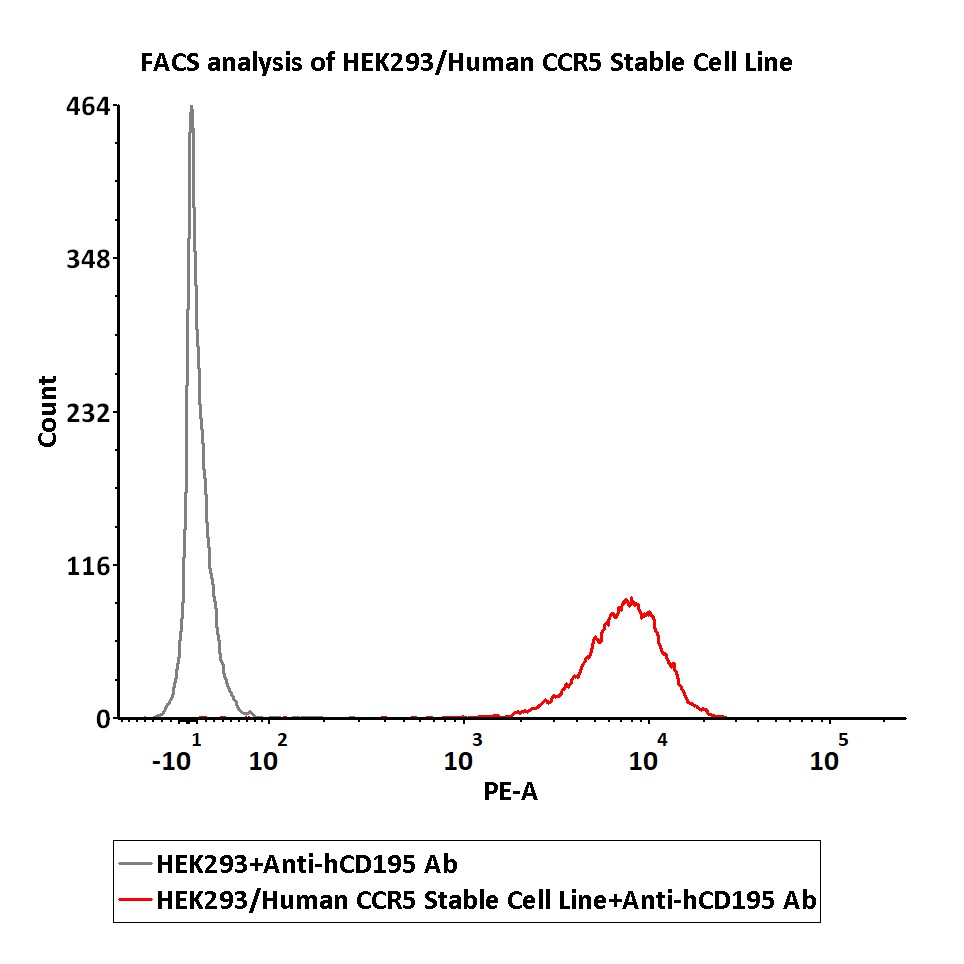 Receptor Assay