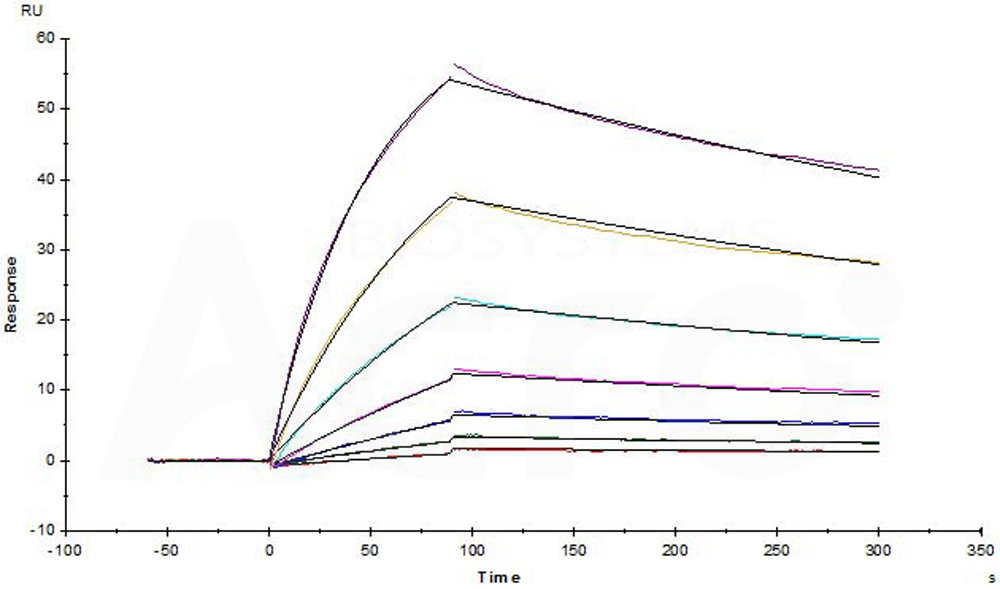 Biotinylated Human SPR