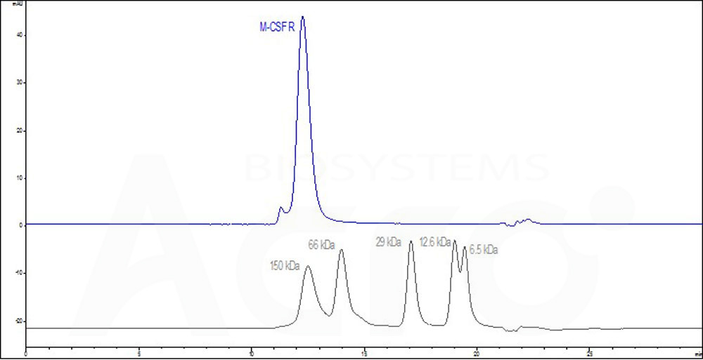 Human M-CSF R, His Tag (Cat. No. CSR-H5228) HPLC images