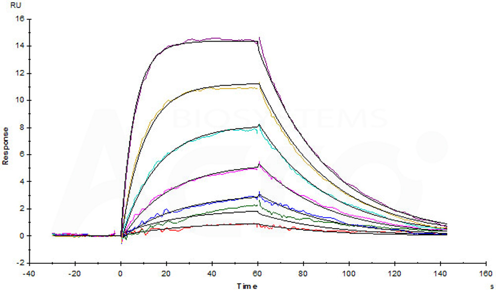 Biotinylated Human SPR