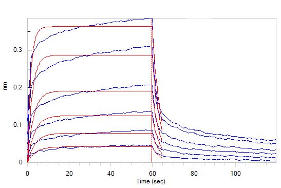 Biotinylated Human SPR