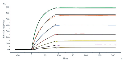 Biotinylated Human SPR